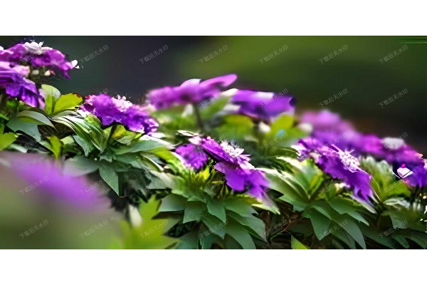 古韵杭州,颈腰舒展——传统按摩,现代体验” 古韵杭州,颈腰舒展——传统按摩,现代体验”